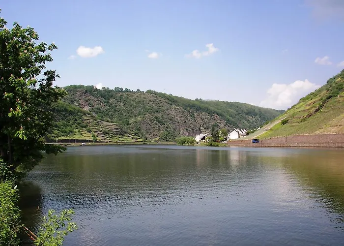 维尼霍斯费瑞思酒店