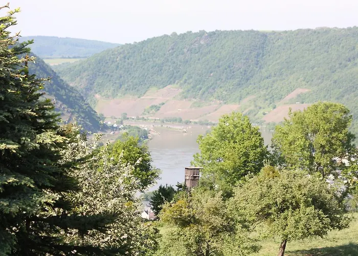 酒店 维尼霍斯费瑞思酒店 *