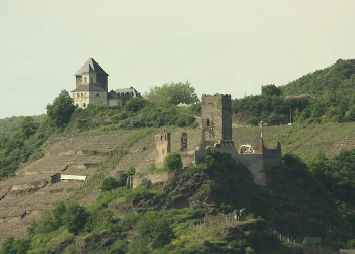 酒店 维尼霍斯费瑞思酒店