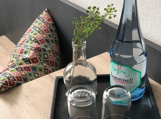 维尼霍斯费瑞思酒店 * Kattenes