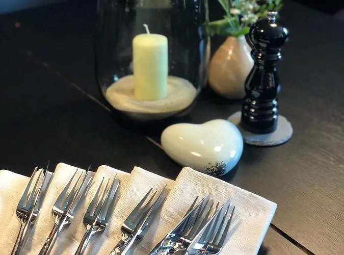 维尼霍斯费瑞思酒店 *