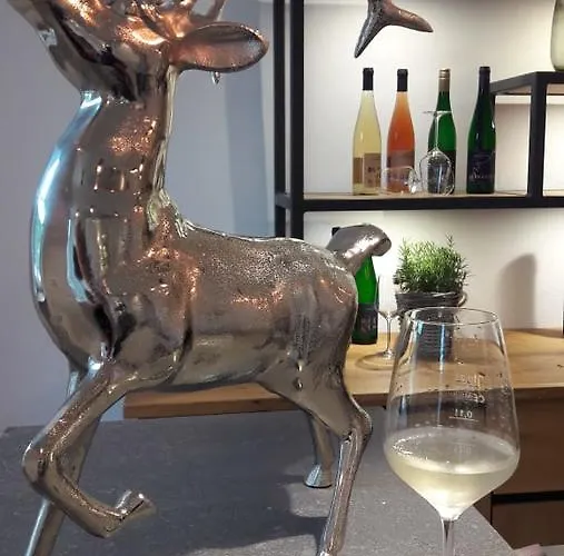 酒店 维尼霍斯费瑞思酒店 *