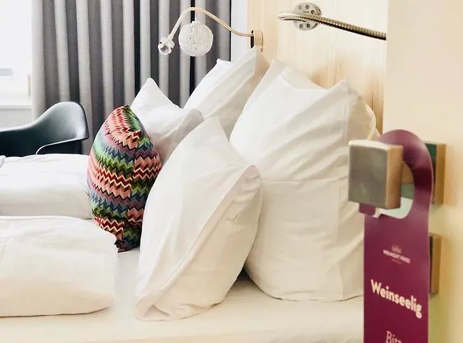 维尼霍斯费瑞思酒店 * Kattenes